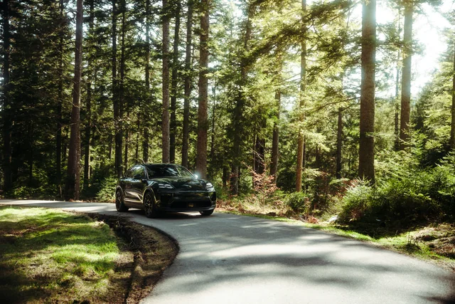Porsche Macan in einer Waldkurve