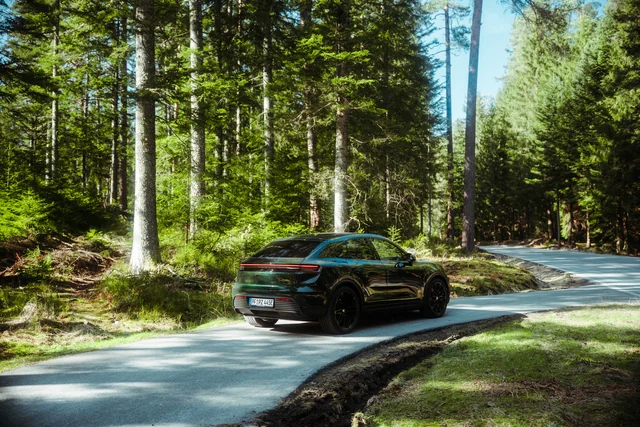 Macan in Fahrt auf der Waldstraße