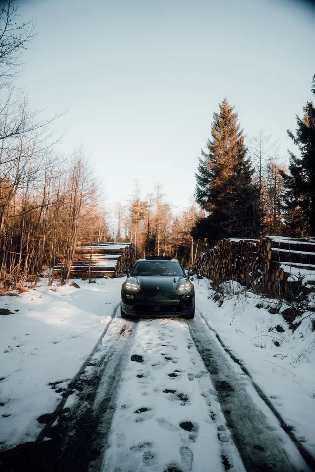 Macan auf verschneitem Waldweg