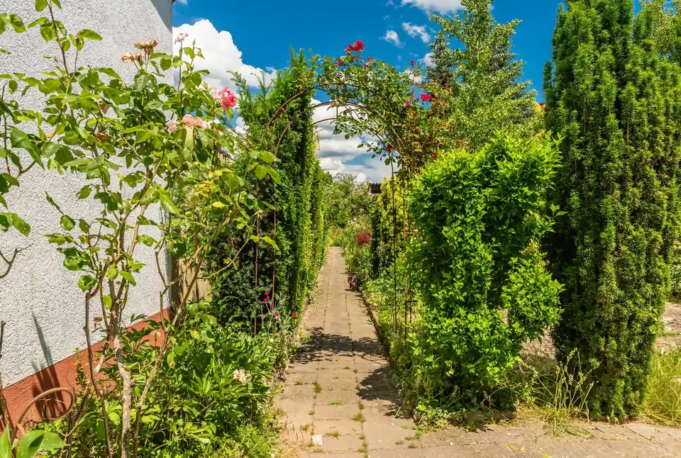 Gepflegtes Grundstück nach einem Einsatz von Gschafft im Raum Ulm